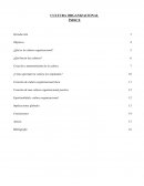 Cultura Organizacional ¿Cómo aprenden la cultura los empleados?