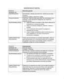 Descripcion de puestos. Dirección general