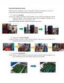 Proceso de Producción De la Palta