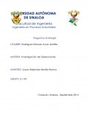 Diferencia entre optimización, suboptimización y sobreoptimización