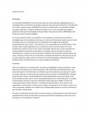 Proyección social. Debilidades