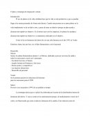 El plan y estrategia de integración vertical.