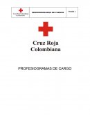 La atención internacional está centrada cada vez más en los derechos y deberes en el trabajo