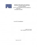 Enuncie y explique la ley cero, la primera y segunda ley de la termodinámica