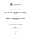 Soluciones con Sistemas Información Transaccionales comerciales