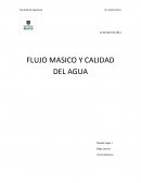 Laboratorio Termodinamica - Flujo másico y calidad del agua