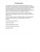 La gran Introduccion y desarrollo de apendicitis