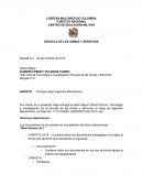 Los documentos se encuentran en una partición del disco denominada