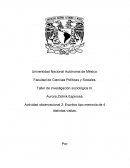 Actividad observacional 2: Escritos tipo memoria de 4 distintas visitas.