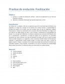 Pruebas de evolución: Fosilización