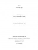 En este Brief se darán a conocer aspectos importantes del Producto, que serán analizados detalladamente, pretendiendo dar a conocer los cambios que se implantarán a los accesorios del común