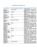 EMPRESAS COMERCIALES. EXPLICAR PORQUE, ESTA EMPRESA ES DE ESTE GIRO
