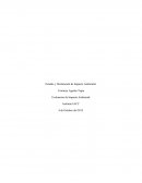 Responda las siguientes preguntas, definiendo con sus propias palabras los conceptos solicitados