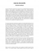 CASO DE APLICACIÓN TROPIEZOS GLOBALES