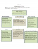 Elabora un mapa mental integrando: conceptualización, importancia, características, origen/evolución, usos y su clasificación