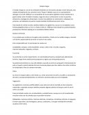 Estado Vargas. Division territorial