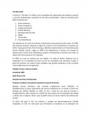 El término “The Big 4” se refiere a las 4 compañías más importantes de Auditoria, asesoría y servicios profesionales