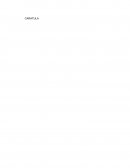 Ensayo de el Transporte benevolo