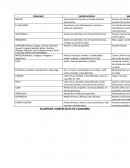 Automóviles de turismo y demás vehículos automóviles