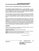 Acta de medida complementaria de ejecución anticipada