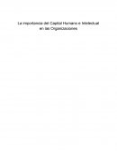La importancia del Capital Humano e Intelectual en las Organizaciones