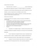 Repetir el proceso una vez finalizada una pregunta