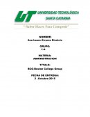 Análisis de BCG (Boston Collage Group)