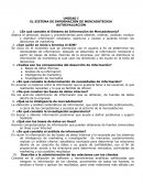 Autoevaluaciones ¿En qué consiste el Sistema de Información de Mercadotecnia?