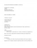 LA GRAN PLANEACION DE PREESCOLAR SOBRE EL CARNAVAL