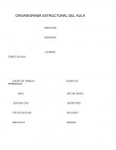 CAPITULO II DE LOS DERECHOS DEL EDUCANDO