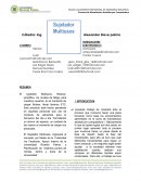 Proyectos de inversion El sujetador Multiusos