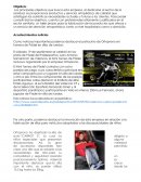 Los principales objetivos que busca esta empresa