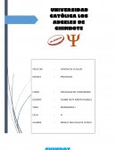 Consumismo Introducción EL COMPORTAMIENTO DEL CONSUMIDOR