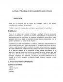 ANATOMÍA Y FISIOLOGÍA DE GENITALES EXTERNOS E INTERNOS OBSTETRICIA