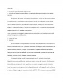 Queja diseño mas travel