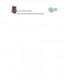 Cual es la ELABORACIÓN DE VINO DE TUNA