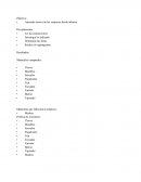 Aprender acerca de las empresas desde adentro