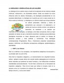 Perdida de valores en jovenes universitarios