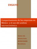 Comportamiento de las empresas en México