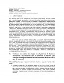 Aportacion Inicial Caso Bikor.¿Es rentable la diversificación?