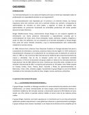 Caso Internacionalización Grupo Borges