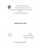 Cuestionario a Empresa. GERENCIA BAJO CRISIS