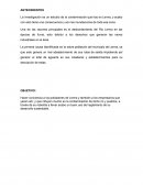 Antecedentes.La investigación