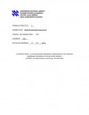EL DOCENTE NOVEL Y LA PLANIFICACION PEDAGOGICA ADMINISTRATIVA DEL PROCESO ENSEÑANZA APRENDIZAJE EN EDUCACION PRIMARIA