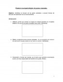 Examen neuropsicológico de pares craneales.
