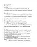 Recursos Humanos Capítulo 12