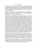 ENSAYO DE QUE ES LA CONTADURIA