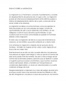 Ensayo de la migracion