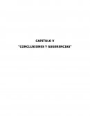 CONCLUSIONES Y SUGERENCIAS