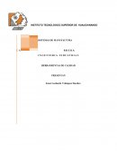 IMPLEMENTACION DE 5´S